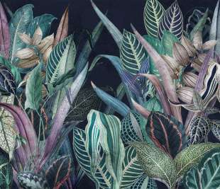 Nevida Art. 630 31 2202