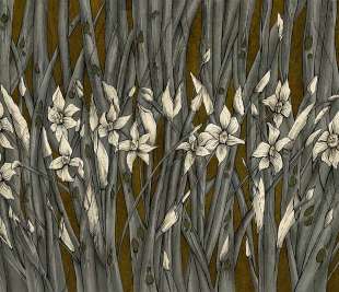 Narcise Art. 445 33 2102