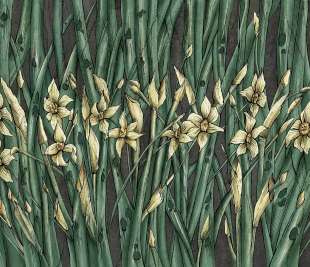 Narcise Art. 445 32 2102