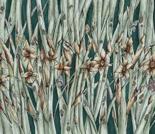 Narcise Art. 445 31 2102