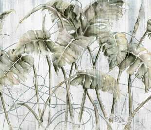 Monstera Art. 595 31 2201