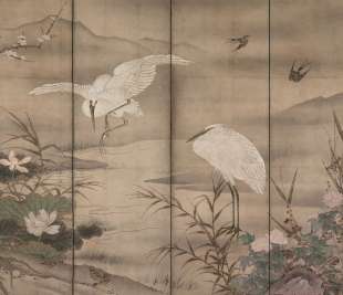 Laponica Art. 425 33 2101