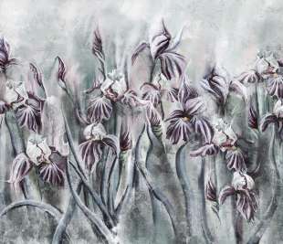 Iris Art. 545 31 2201