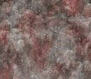 Iberis Art. 410 36 2101