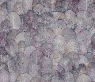 Iberis Art. 410 33 2101