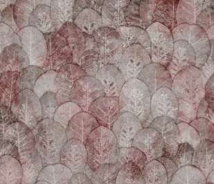 Iberis Art. 410 32 2101