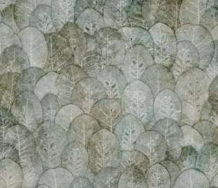 Iberis Art. 410 31 2101