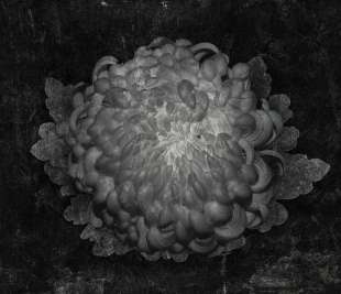 Gotti Art. 570 32 2201