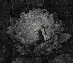 Gotti Art. 570 31 2201