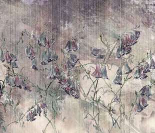 Giolla Art. 385 32 2101