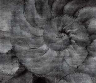 Fosilium Art. 405 33 2101