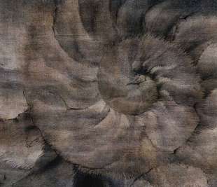 Fosilium Art. 405 32 2101