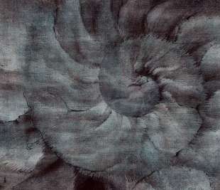 Fosilium Art. 405 31 2101