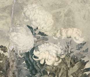 Floss Art. 580 31 2201