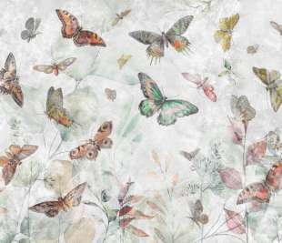 Elibri Art. 700 32 2202