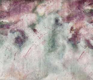 Cordis Art. 480 31 2102