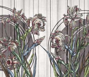 Clarri Art. 670 32 2202