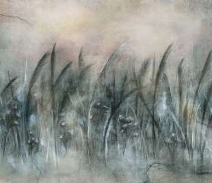 Canna Art. 535 32 2201