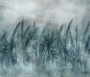 Canna Art. 535 31 2201