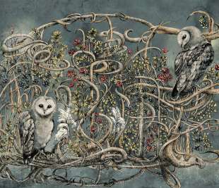 Avera Art. 500 32 2102