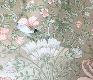 91472_Emiliana_champagne_rollshot