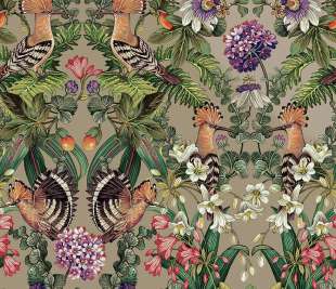 91562_Marimo_Champagne_shine_