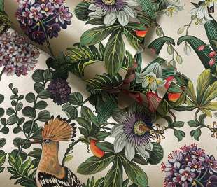 91562_Marimo_Champagne_rollshot