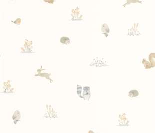 CASADECO_88259197_web