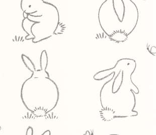 CASADECO_88389050_web