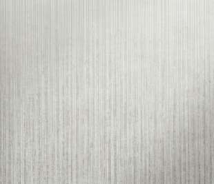 64614_Jupiter_fossil_grey_closeup_1_1920x1920