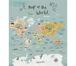 CASELIO_103604501_web