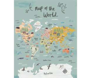 CASELIO_103604502_web