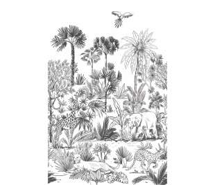 CASELIO_103599004_web