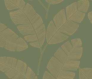 CASELIO_101107142_web