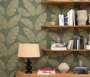 CASELIO_GCO_BANANA-TREE_KAKI-101107142_web