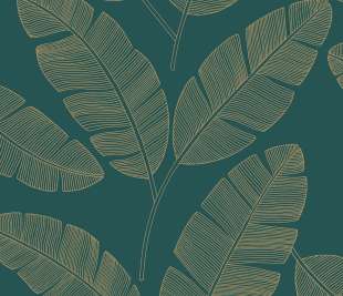 CASELIO_101107251_web