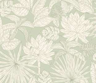 CASELIO_101437041_web