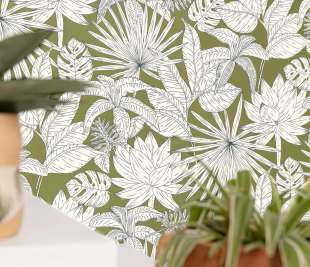 CASELIO_GCO_HAWAI_KAKI-101437167_ZOOM_web