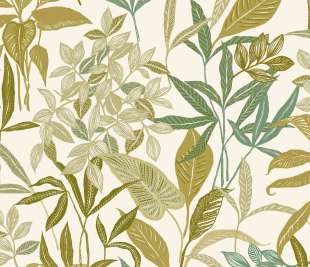 CASELIO_103850223_web