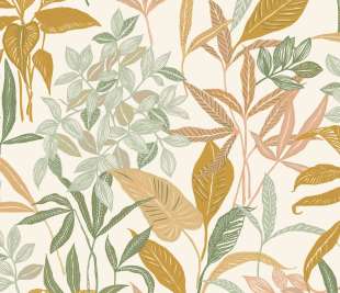 CASELIO_103850323_web