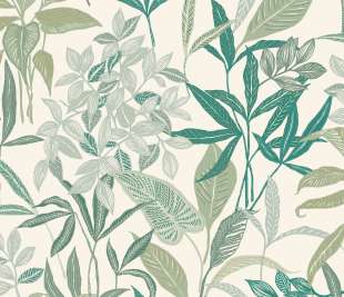 CASELIO_103850788_web