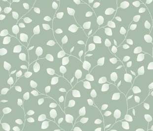 CASELIO_103867129_web