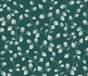 CASELIO_103867218_web