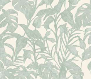 CASELIO_103870788_web