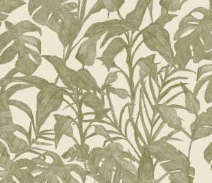 CASELIO_103871758_web