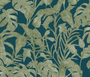 CASELIO_103876715_web