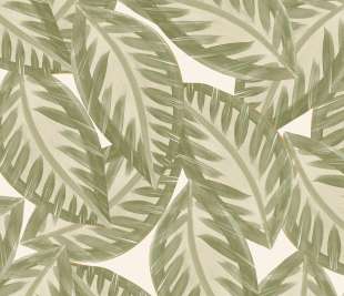 CASELIO_103900721_web