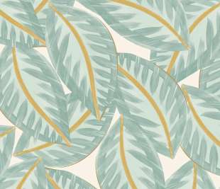 CASELIO_103900637_web