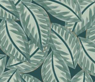 CASELIO_103907703_web