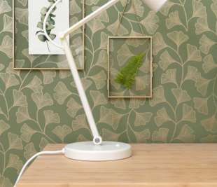 CASELIO_GCO_OSAKA_KAKI_103917221_ZOOM_web